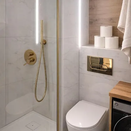 Dana 75b * שצ'צ'ין